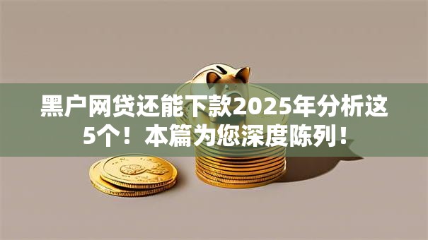 黑户网贷还能下款2025年分析这5个！本篇为您深度陈列！