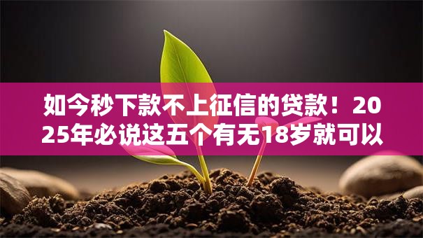 如今秒下款不上征信的贷款！2025年必说这五个有无18岁就可以贷款的软件