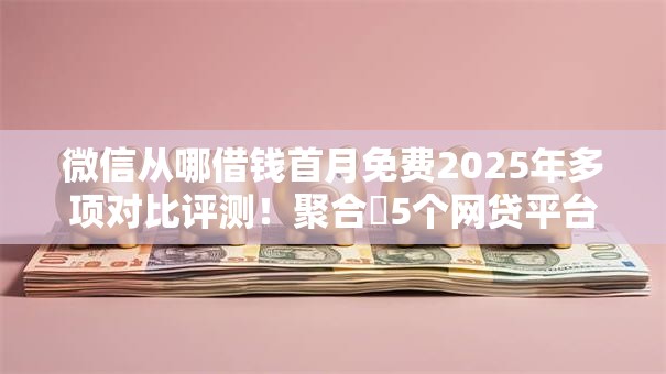 微信从哪借钱首月免费2025年多项对比评测！聚合​5个网贷平台借钱首月免费