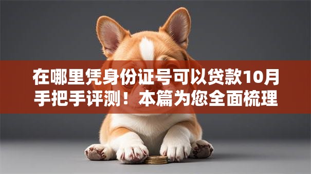 在哪里凭身份证号可以贷款10月手把手评测！本篇为您全面梳理！