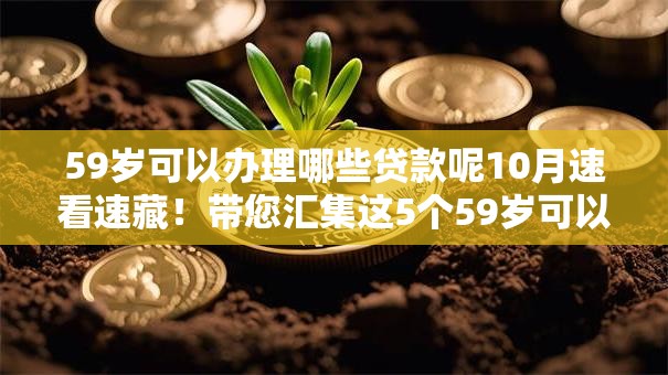 59岁可以办理哪些贷款呢10月速看速藏！带您汇集这5个59岁可以办理哪些借款平台