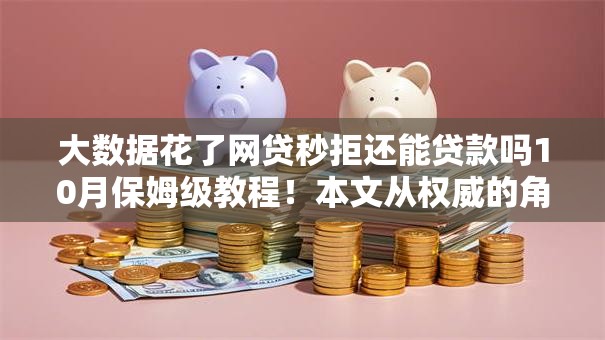 大数据花了网贷秒拒还能贷款吗10月保姆级教程！本文从权威的角度为您解答！