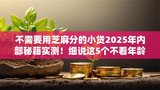 不需要用芝麻分的小贷2025年内部秘籍实测！细说这5个不看年龄就能贷的贷款