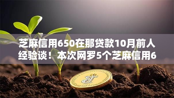 芝麻信用650在那贷款10月前人经验谈！本次网罗5个芝麻信用650在网贷平台借钱