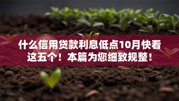 什么信用贷款利息低点10月快看这五个！本篇为您细致规整！