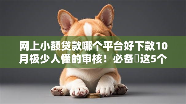 网上小额贷款哪个平台好下款10月极少人懂的审核！必备​这5个网贷口子借钱好下款的软件