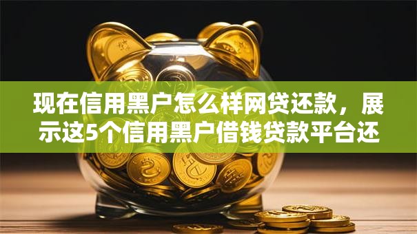 现在信用黑户怎么样网贷还款，展示这5个信用黑户借钱贷款平台还款