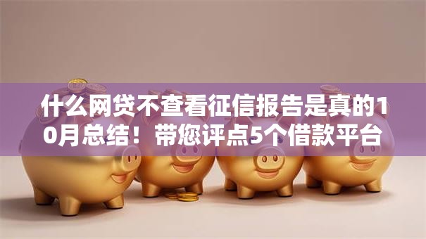 什么网贷不查看征信报告是真的10月总结！带您评点5个借款平台不查征信是真的