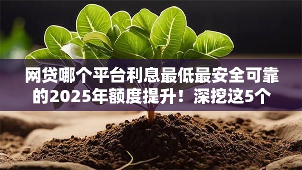 网贷哪个平台利息最低最安全可靠的2025年额度提升！深挖这5个贷款口子利息低软件安全可靠