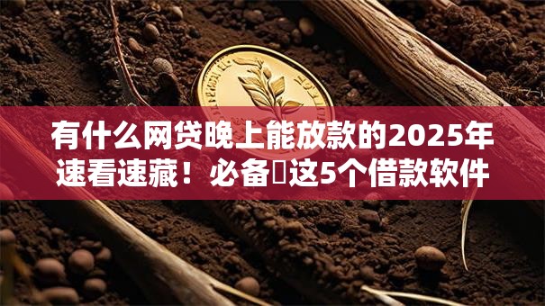 有什么网贷晚上能放款的2025年速看速藏！必备​这5个借款软件晚上能放款
