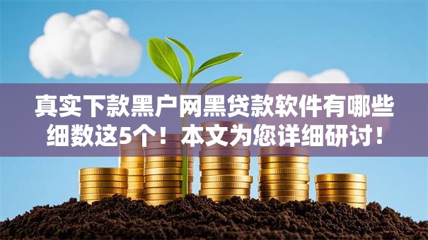 真实下款黑户网黑贷款软件有哪些细数这5个！本文为您详细研讨！