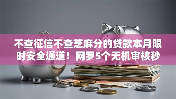 不查征信不查芝麻分的贷款本月限时安全通道！网罗5个无机审核秒过的网贷