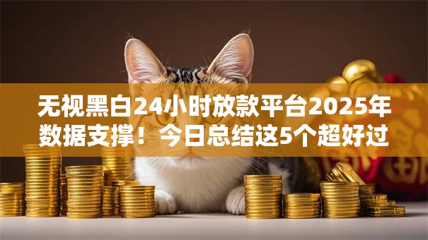 无视黑白24小时放款平台2025年数据支撑！今日总结这5个超好过的网贷口子