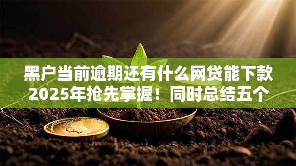 黑户当前逾期还有什么网贷能下款2025年抢先掌握！同时总结五个黑户逾期借钱平台还能下款