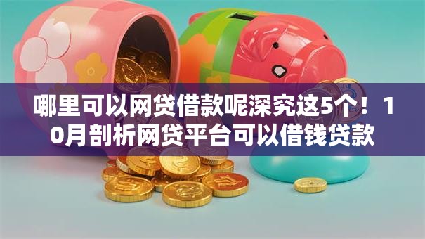 哪里可以网贷借款呢深究这5个！10月剖析网贷平台可以借钱贷款