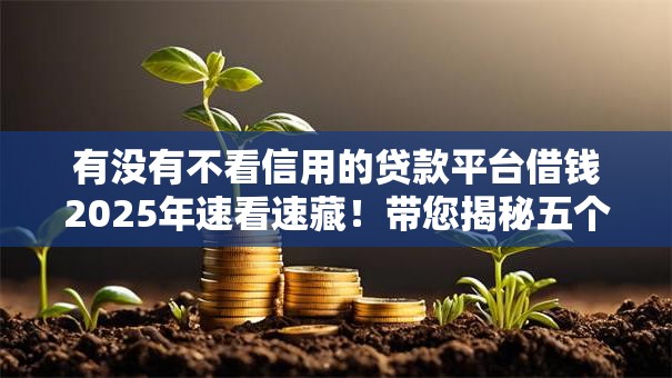 有没有不看信用的贷款平台借钱2025年速看速藏！带您揭秘五个不看信用的网贷口子借钱
