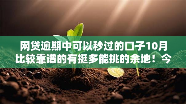 网贷逾期中可以秒过的口子10月比较靠谱的有挺多能挑的余地！今天详细评述这5个黑户贷款口子！
