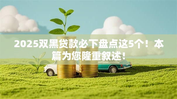 2025双黑贷款必下盘点这5个！本篇为您隆重叙述！