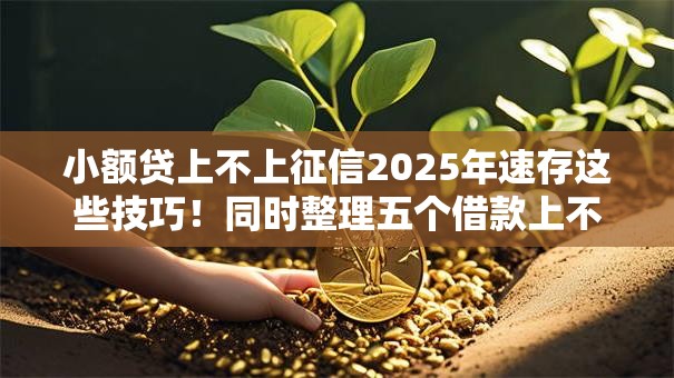 小额贷上不上征信2025年速存这些技巧！同时整理五个借款上不上征信的网贷软件