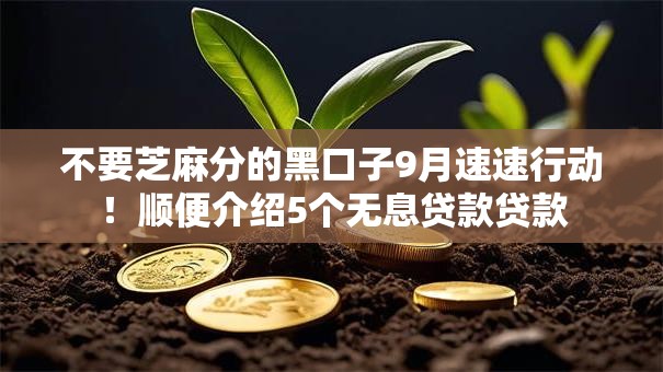 不要芝麻分的黑口子9月速速行动！顺便介绍5个无息贷款贷款