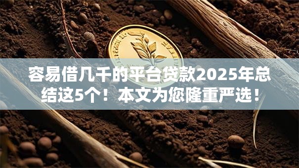 容易借几千的平台贷款2025年总结这5个！本文为您隆重严选！