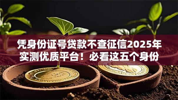 凭身份证号贷款不查征信2025年实测优质平台！必看这五个身份证借款口子不查征信