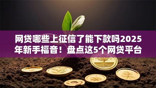网贷哪些上征信了能下款吗2025年新手福音！盘点这5个网贷平台借款上征信能下款