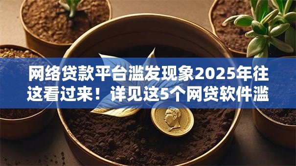 网络贷款平台滥发现象2025年往这看过来！详见这5个网贷软件滥发借钱贷款
