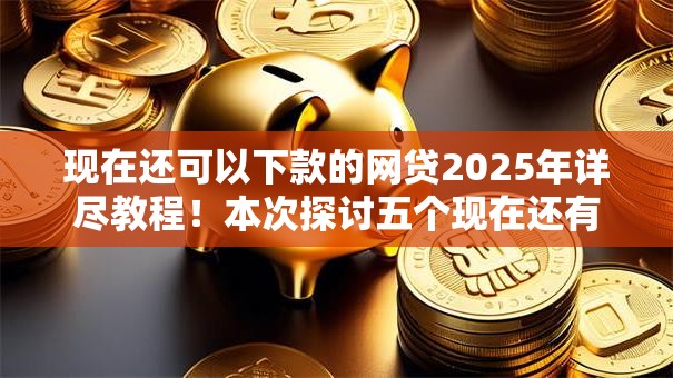 现在还可以下款的网贷2025年详尽教程！本次探讨五个现在还有可借钱的平台