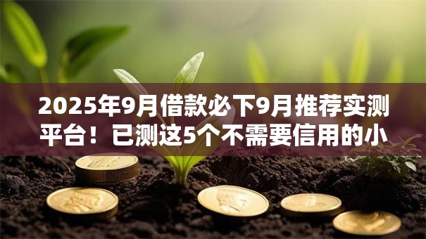 2025年9月借款必下9月推荐实测平台！已测这5个不需要信用的小额贷款