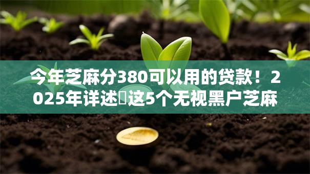 今年芝麻分380可以用的贷款！2025年详述​这5个无视黑户芝麻信用分的贷款