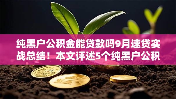 纯黑户公积金能贷款吗9月速贷实战总结！本文评述5个纯黑户公积金借款平台能借钱