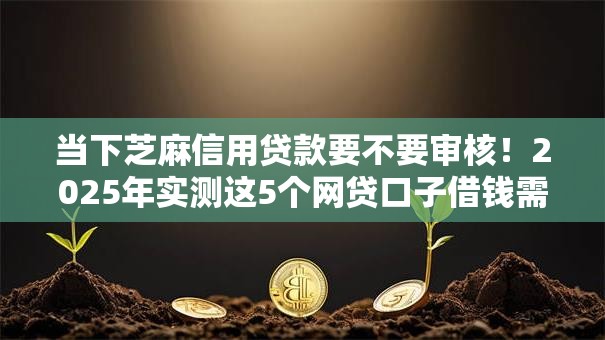 当下芝麻信用贷款要不要审核！2025年实测这5个网贷口子借钱需要审核审核