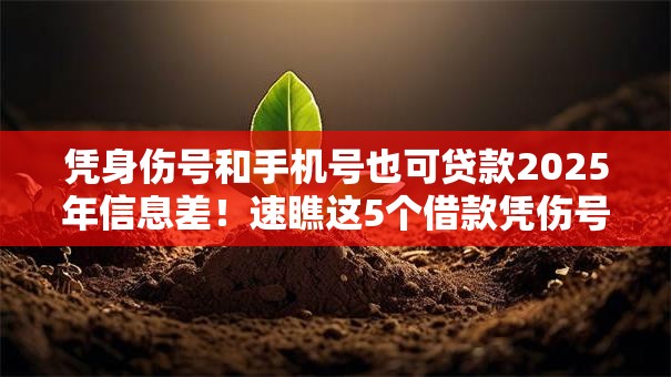 凭身伤号和手机号也可贷款2025年信息差！速瞧这5个借款凭伤号手机号平台可借