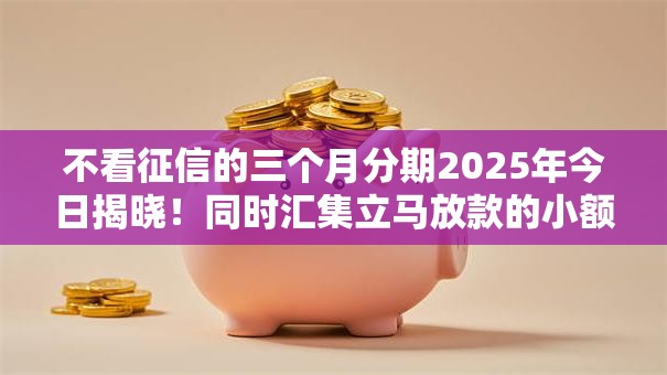 不看征信的三个月分期2025年今日揭晓！同时汇集立马放款的小额贷