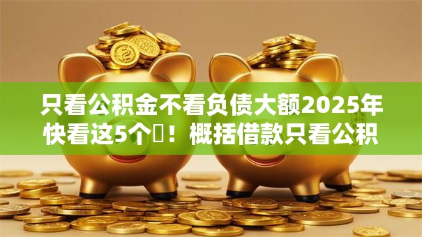 只看公积金不看负债大额2025年快看这5个​！概括借款只看公积金不查网贷软件