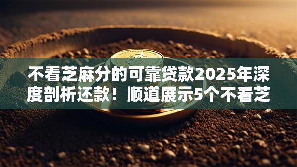 不看芝麻分的可靠贷款2025年深度剖析还款！顺道展示5个不看芝麻分的网贷口子借款