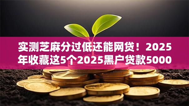 实测芝麻分过低还能网贷！2025年收藏这5个2025黑户贷款5000元