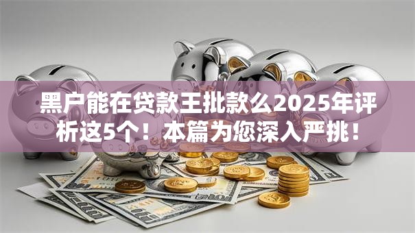 黑户能在贷款王批款么2025年评析这5个！本篇为您深入严挑！