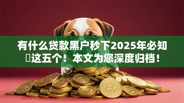 有什么贷款黑户秒下2025年必知​这五个！本文为您深度归档！
