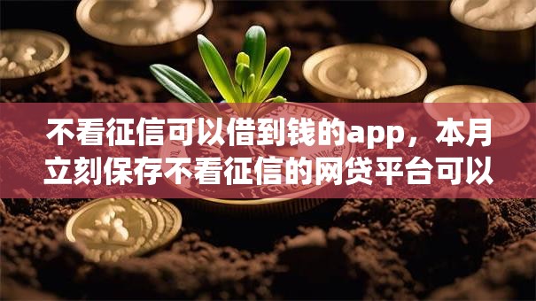 不看征信可以借到钱的app，本月立刻保存不看征信的网贷平台可以贷款