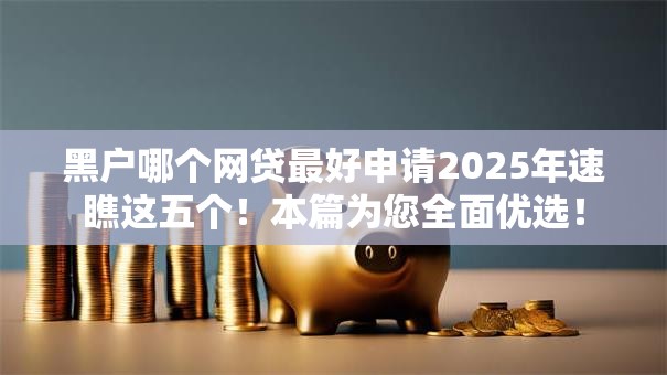 黑户哪个网贷最好申请2025年速瞧这五个！本篇为您全面优选！