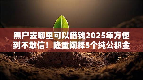 黑户去哪里可以借钱2025年方便到不敢信！隆重阐释5个纯公积金授信不上征信