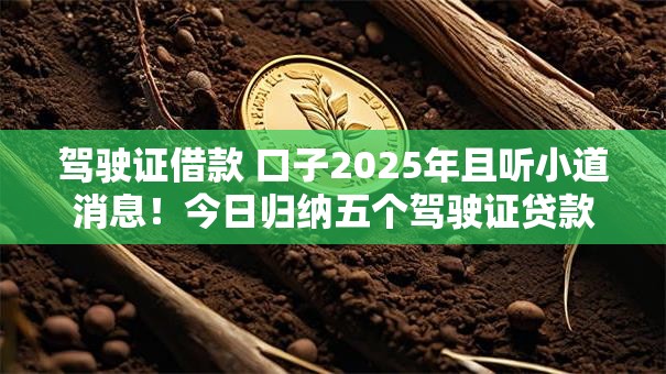 驾驶证借款 口子2025年且听小道消息！今日归纳五个驾驶证贷款口子
