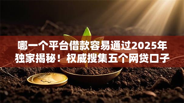哪一个平台借款容易通过2025年独家揭秘！权威搜集五个网贷口子容易通过借钱