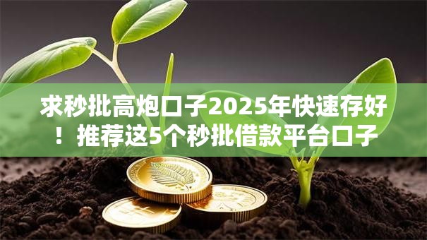 求秒批高炮口子2025年快速存好！推荐这5个秒批借款平台口子
