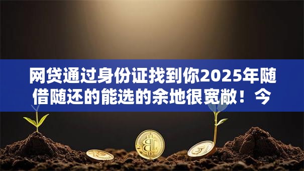 网贷通过身份证找到你2025年随借随还的能选的余地很宽敞！今天全面解析这5个黑户贷款口子！