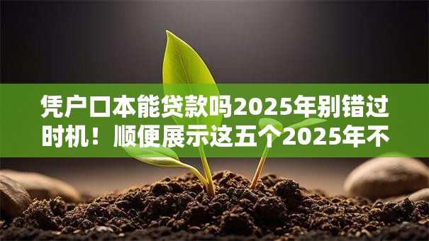 凭户口本能贷款吗2025年别错过时机！顺便展示这五个2025年不看信用的贷款
