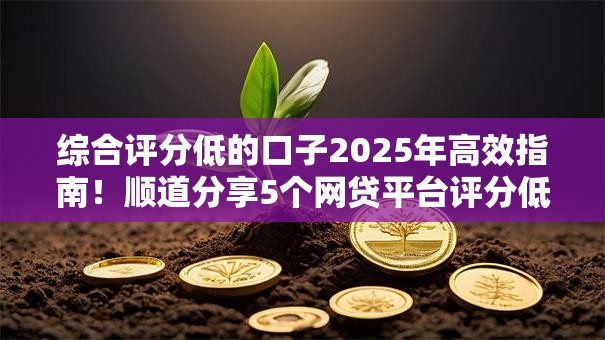 综合评分低的口子2025年高效指南！顺道分享5个网贷平台评分低借钱