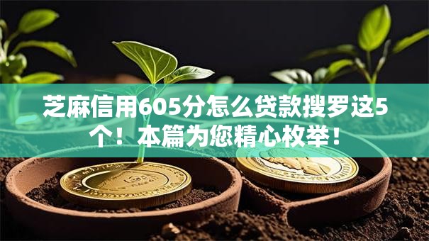 芝麻信用605分怎么贷款搜罗这5个！本篇为您精心枚举！